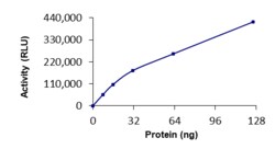 Sino Biological&nbsp;Recombinant Human Rffl Protein (Full Length, GST Tag), Active